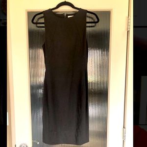 Aritzia Babaton Black Dress